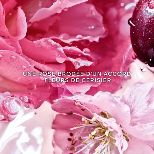GUERLAIN La Petite Robe Noire - Rose Cherry - Eau de Parfum GUERLAIN La Petite Robe Noire - Rose Cherry - Eau de Parfum